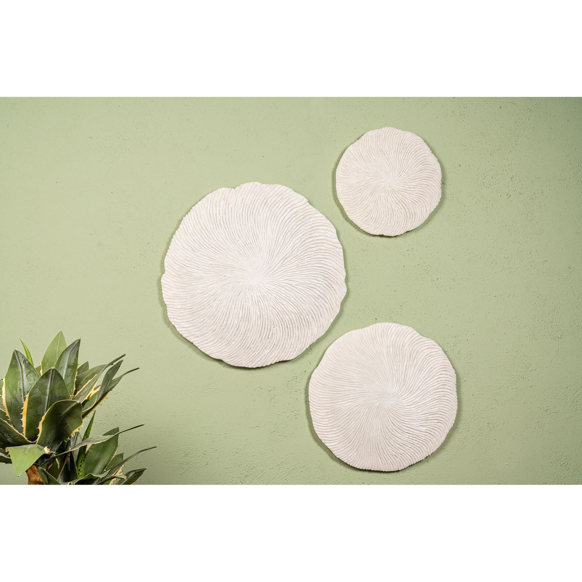 Wall Panel - Coral Shape Design, Round Design, Handmade Finish, S - Kathelle | PTMD