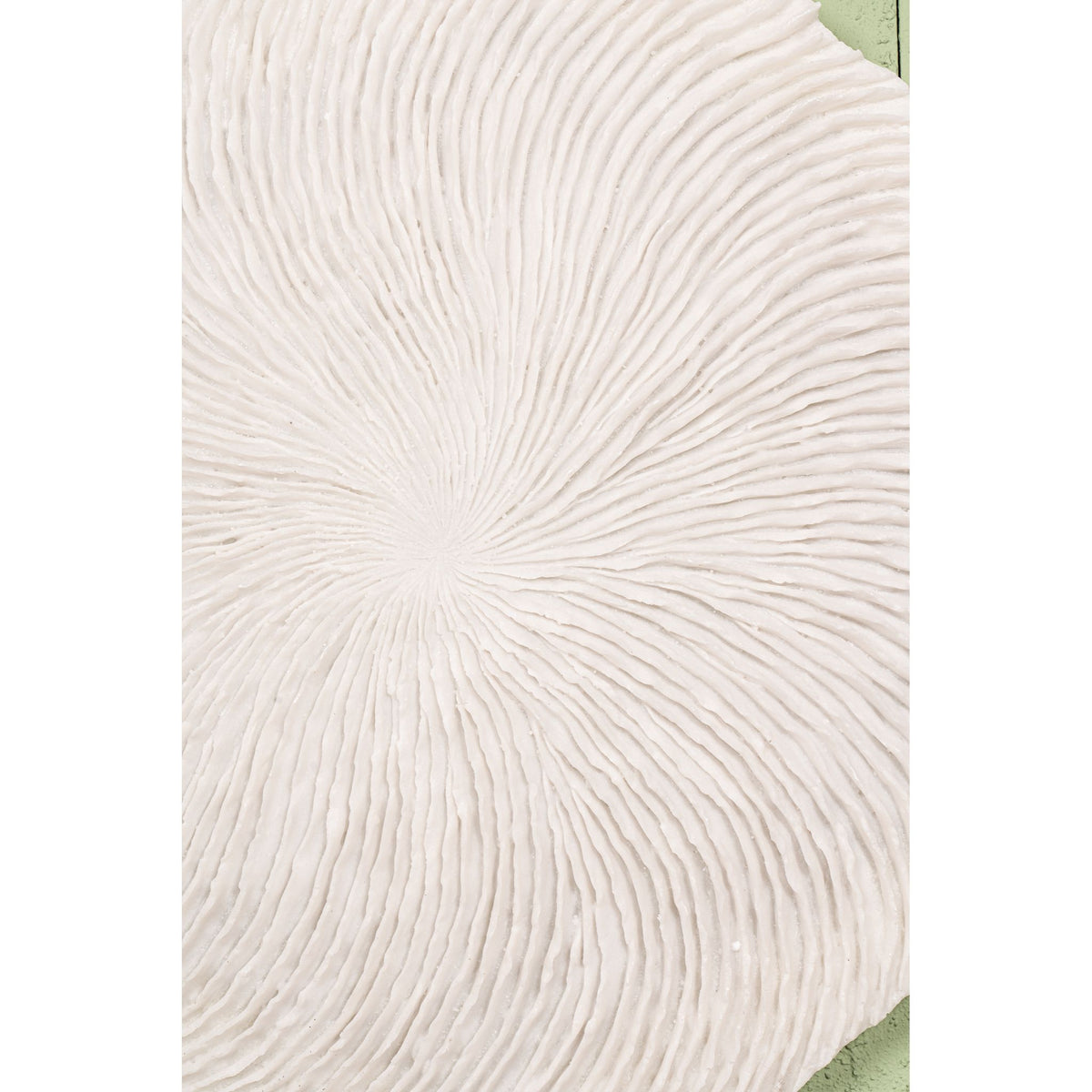 Wall Panel - Coral Shape Design, Round Design, Handmade Finish, S - Kathelle | PTMD