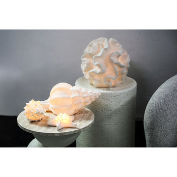 LED-Leuchte – Seesternform Design, Polyresin Oberfläche, Weiße Farbgebung, S – Graeme | PTMD