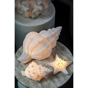 LED-Leuchte – Seesternform Design, Polyresin Oberfläche, Weiße Farbgebung, S – Graeme | PTMD