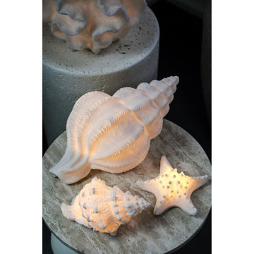 LED-Leuchte – Seesternform Design, Polyresin Oberfläche, Weiße Farbgebung, S – Graeme | PTMD