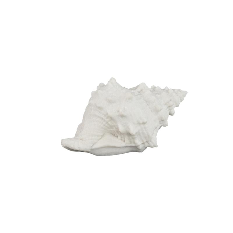 LED-Leuchte – Muschelform Design, Polyresin Oberfläche, Weiße Farbgebung, S – Graeme | PTMD