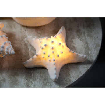 LED-Leuchte – Seesternform Design, Polyresin Oberfläche, Weiße Farbgebung, S – Graeme | PTMD