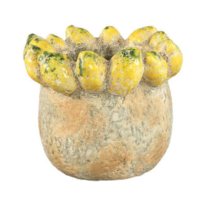 Pot - Lemon Rim Design, Round Shape, Yellow Color, Terracotta Ceramic, L - Fruitsy | PTMD