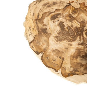 Side Table – Petrified Wood, Turned Base, Natural Finish – Jisse | PTMD