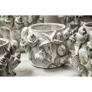 Pot - Shell Design, Round Shape, Cream Color, Ceramic Material, Low, S - Prince | PTMD