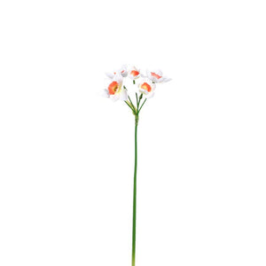 Garden Flower - White Daffodil Spray, Polyester Fabric | PTMD