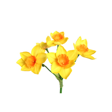 Gartenblume – Gelbe Narzisse Spray, Polyestergewebe | PTMD