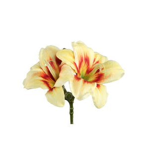 Amaryllis Flower – Yellow Amaryllis Spray, Polyester Fabric, Semi-Finished | PTMD