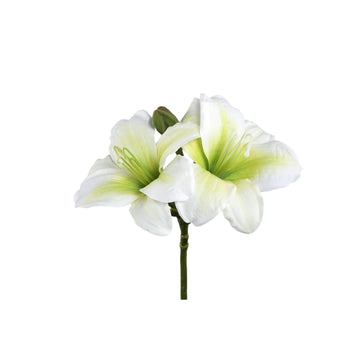 Amaryllisblume – Weiße Amaryllis Spray, Polyestergewebe, Halbfertig | PTMD