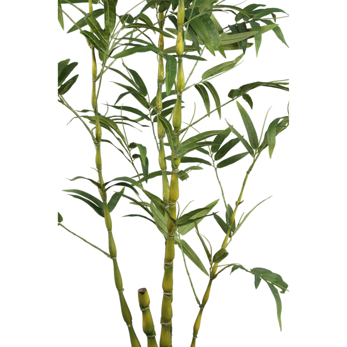 Tree Green - Bamboo, Fabric, Plastic, Semi-Handmade | PTMD