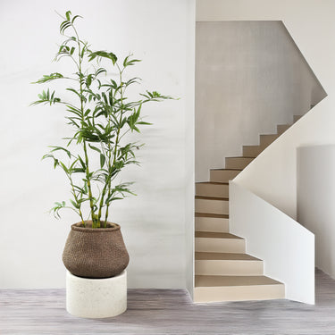 Baumgrün – Bambus Design, Stoff Kunststoff, Topfpflanze | PTMD