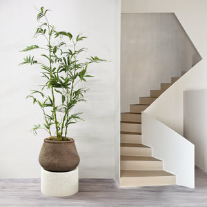 Tree Green - Bamboo, Fabric, Plastic, Semi-Handmade | PTMD