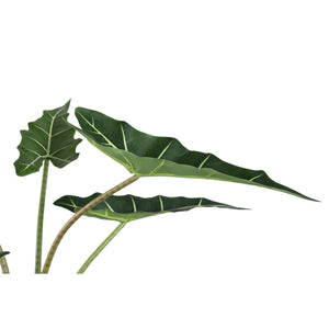 Baumgrün – Alocasia Blätter, Stoff Kunststoff, Topfpflanze, S| PTMD