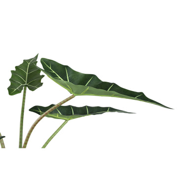 Baumgrün – Alocasia Blätter, Stoff Kunststoff, Topfpflanze, S| PTMD