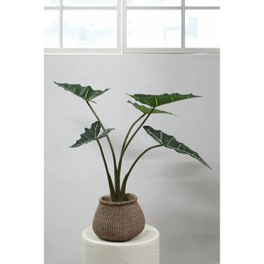 Baumgrün – Alocasia Blätter, Stoff Kunststoff, Topfpflanze, S| PTMD