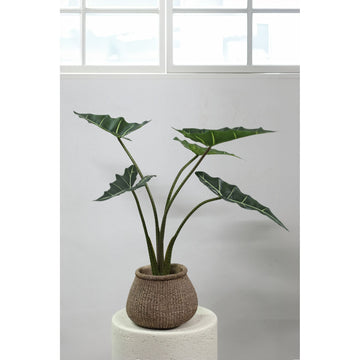 Baumgrün – Alocasia Blätter, Stoff Kunststoff, Topfpflanze, S| PTMD