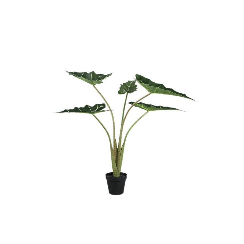 Baumgrün – Alocasia Blätter, Stoff Kunststoff, Topfpflanze, S| PTMD