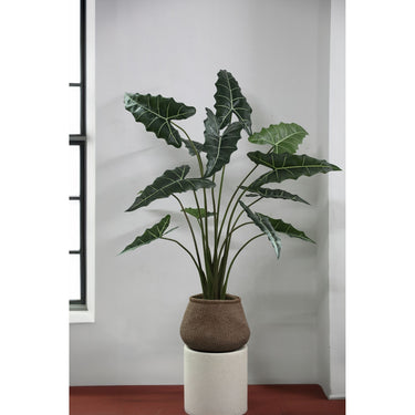 Kunstpflanze – Alocasia Blätter, Kunststoff Gewebe, Topfpflanze, L | PTMD