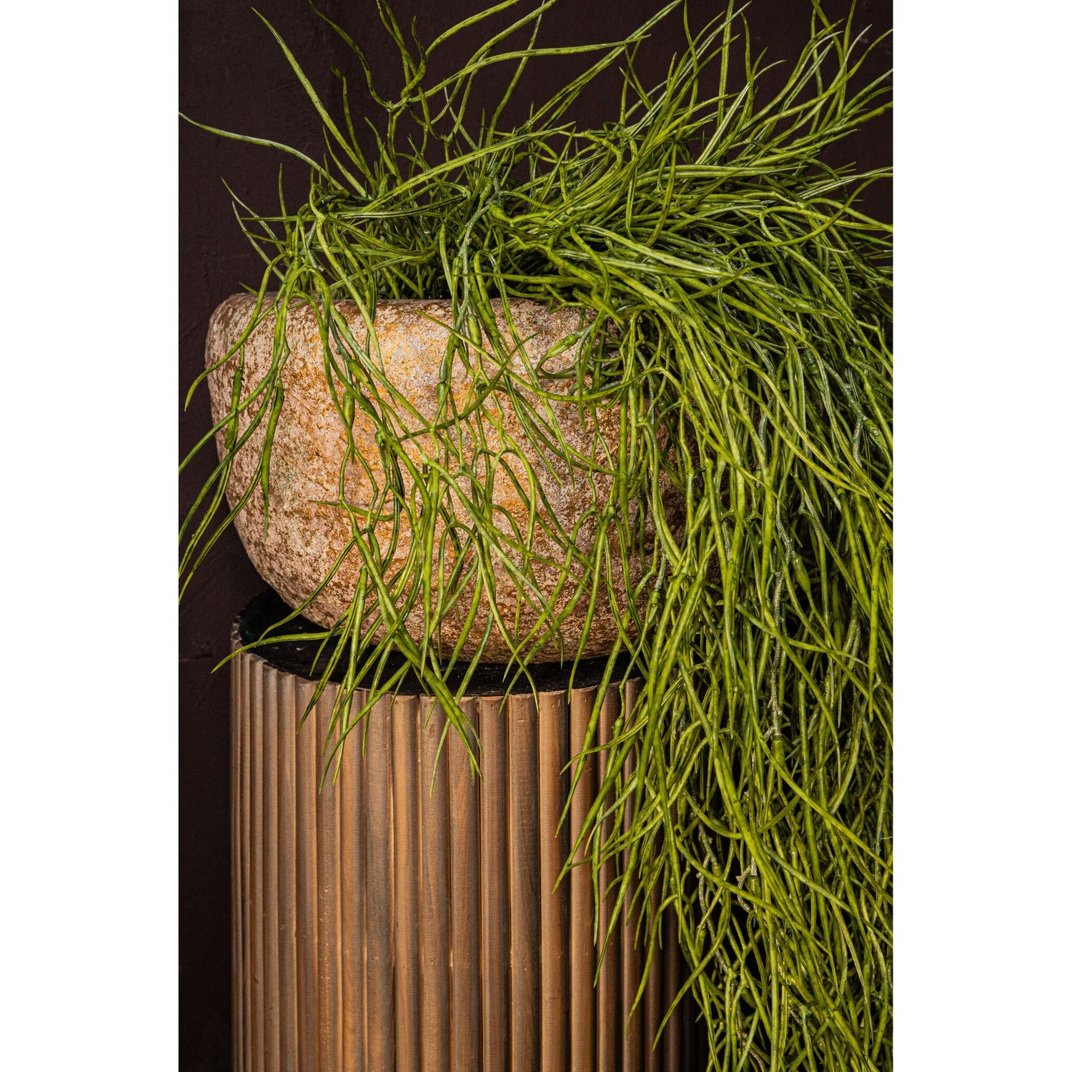 Blumentopf - Runder Zement, Taupefarbe, Schlichte Form, M – Skye-Leigh | PTMD