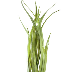 Artificial Plant - Green Yucca Spray, Plastic, Metal, Handmade | PTMD