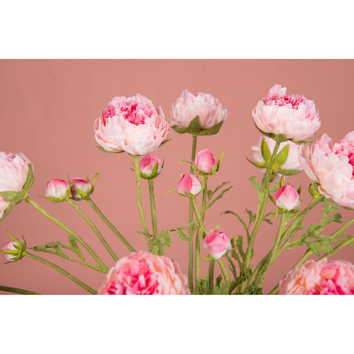 Ranunkelblume – Rosafarbener Ranunkelzweig mit Knospe und Blättern aus Polyestergewebe | PTMD