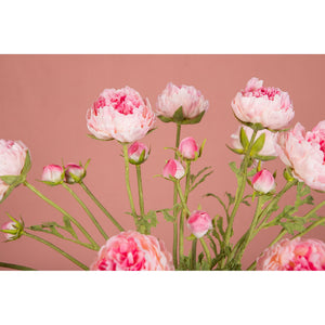 Ranunkelblume – Rosafarbener Ranunkelzweig mit Knospe und Blättern aus Polyestergewebe | PTMD