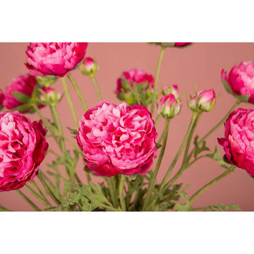 Ranunkelblume – Dunkelrosafarbener Ranunkelzweig mit Knospe und Blättern aus Polyestergewebe | PTMD