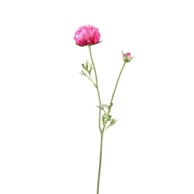 Ranunkelblume – Dunkelrosafarbener Ranunkelzweig mit Knospe und Blättern aus Polyestergewebe | PTMD