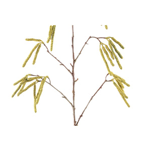 Artificial branch - Green Birch Seed Branch, plastic, metal | PTMD