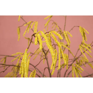 Artificial branch - Green Birch Seed Branch, plastic, metal | PTMD