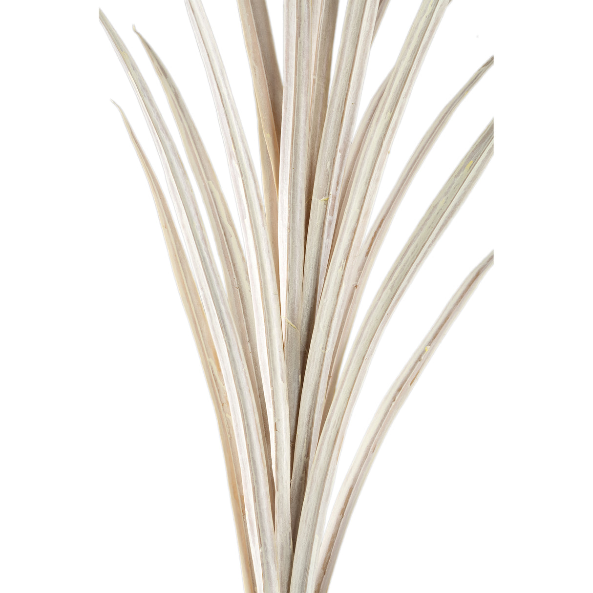Artificial Plant - Cream-colored Yucca Spray, Plastic, Metal, Handmade | PTMD