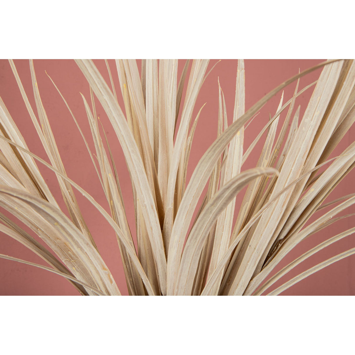 Artificial Plant - Cream-colored Yucca Spray, Plastic, Metal, Handmade | PTMD