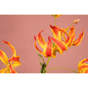Gartenblume – Oranger Gloriosa-Spray mit Blättern aus Polyesterstoff, Eisenmetall und PE-Kunststoff | PTMD