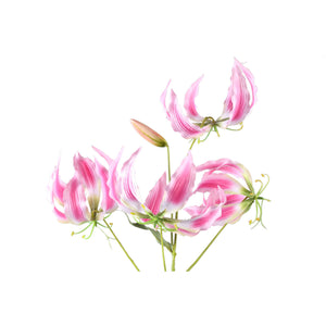 Gartenblume – Rosa Gloriosa-Spray mit Blättern aus Polyesterstoff, Eisenmetall und PE-Kunststoff | PTMD