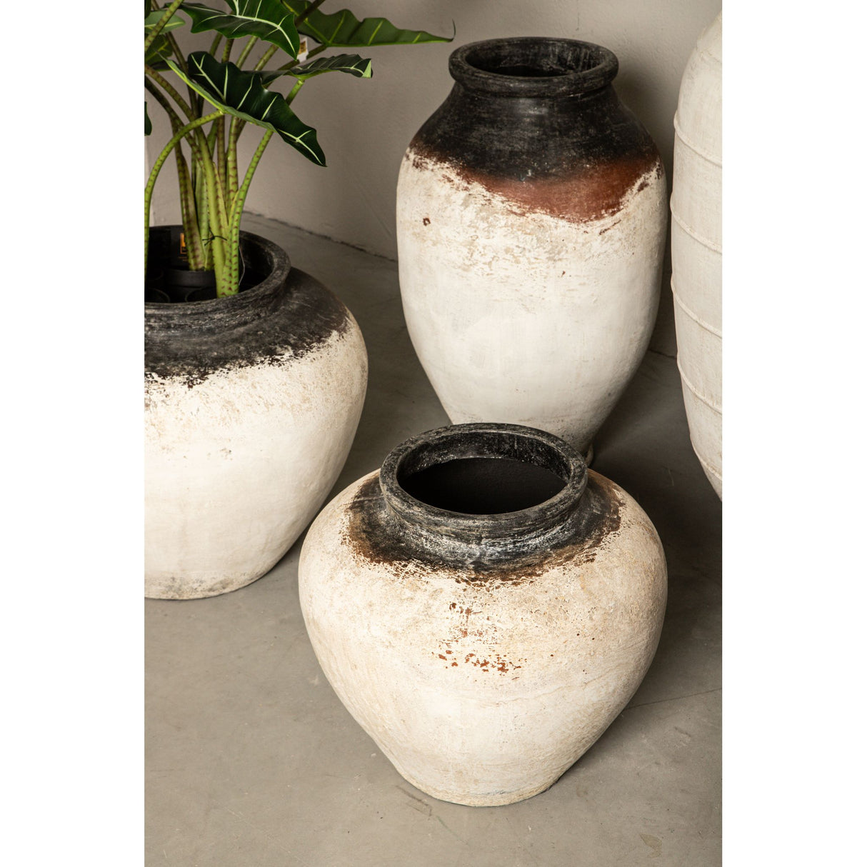Pot – white surface, round shape, dark rim, M – Jinsu | PTMD