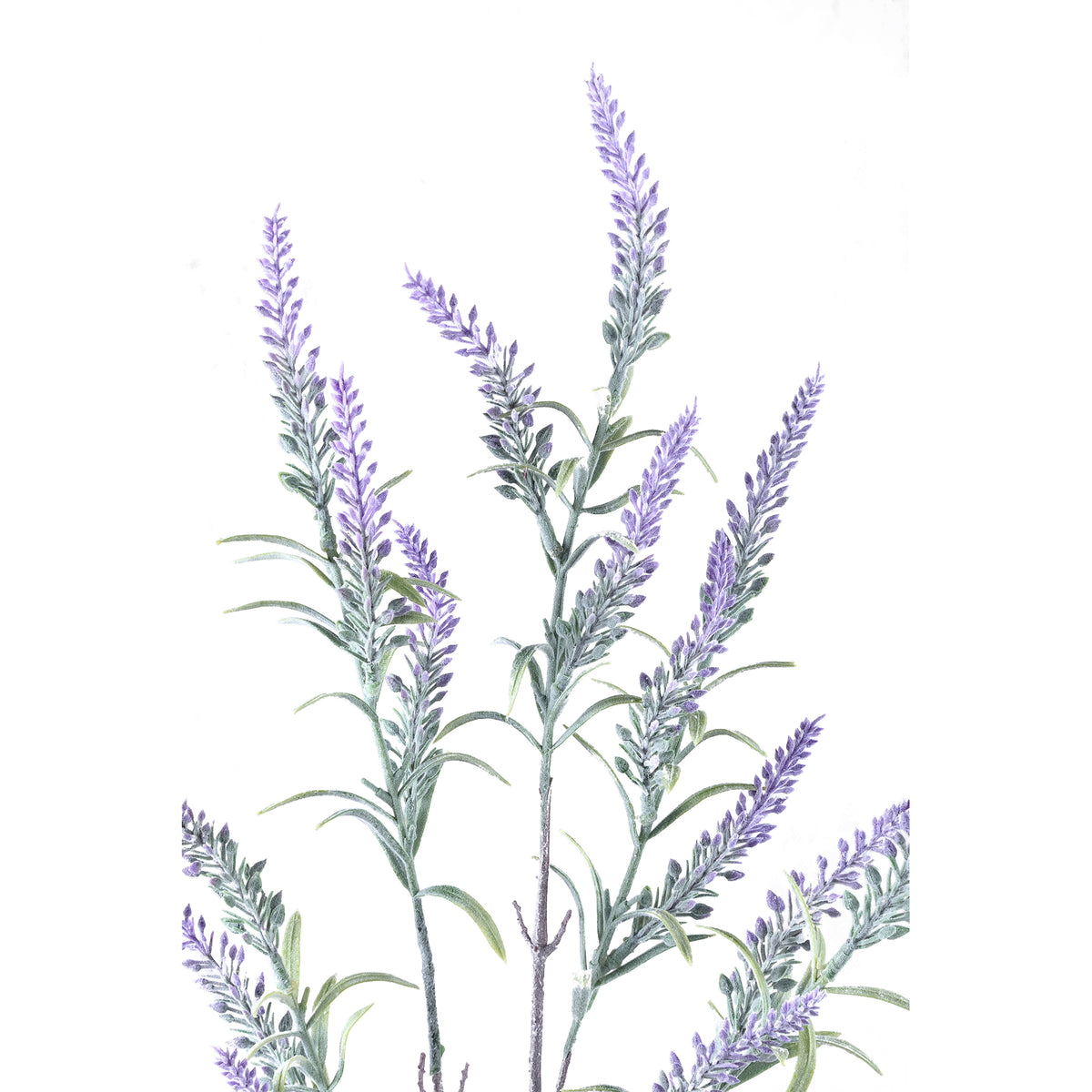 Kunstpflanze - Violetter Lavendel Spray, Kunststoff, Handgefertigt | PTMD