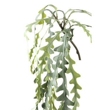 Sukkulentenpflanze – Grünes Hängendes Epiphyllum-Spray aus Kunststoff | PTMD