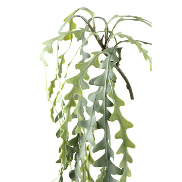 Sukkulentenpflanze – Grünes Hängendes Epiphyllum-Spray aus Kunststoff | PTMD