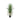Foliage plant with green onion grass, on coconut tree and made of plastic and fabric, B | PTMD
