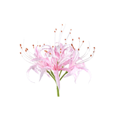 Lilienblume – Rosa Spinnenlilie, Kunststoff, Handgefertigt | PTMD