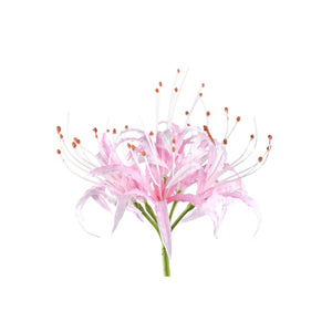 Lilienblume – Rosa Spinnenlilie, Kunststoff, Handgefertigt | PTMD