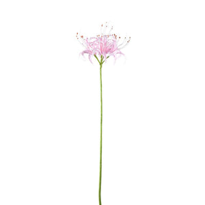 Lilienblume – Rosa Spinnenlilie, Kunststoff, Handgefertigt | PTMD