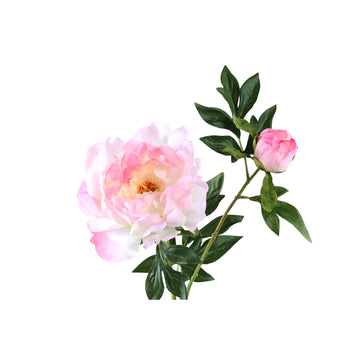 Pfingstrosenblume – Rosa Pfingstrosenzweig mit Knospe aus Stoff und Kunststoff | PTMD