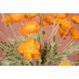 Mohnblume – Oranger Mohnzweig aus Stoff und Polyester | PTMD