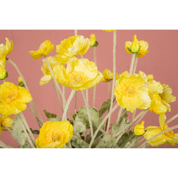 Mohnblume – Gelber Mohnzweig aus Stoff und Kunststoff | PTMD