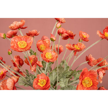 Mohnblume – Lachsorangefarbener Mohnzweig aus Stoff und Kunststoff | PTMD