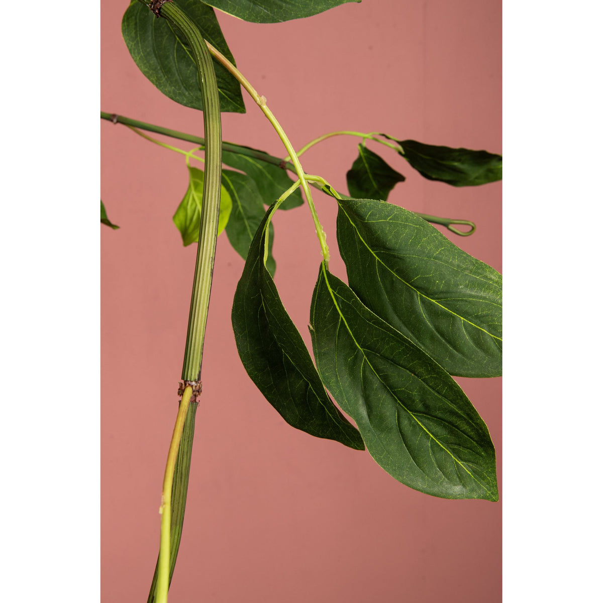Leaf plant – Green Jade Vine Leaf Garland made of plastic | PTMD