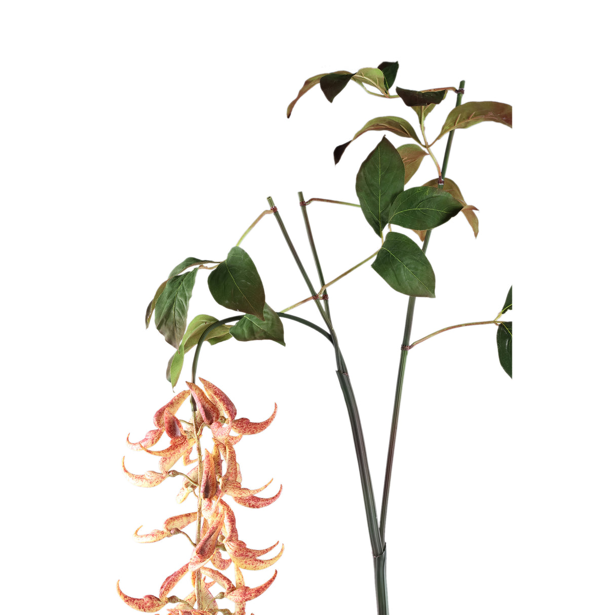 Gartenblume – Orange Strongylodon Spray, Handgefertigt, Kunststoff | PTMD