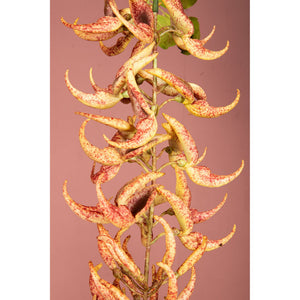 Gartenblume – Orange Strongylodon Spray, Handgefertigt, Kunststoff | PTMD